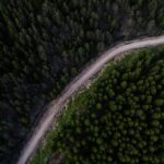 aerial view of serpentine forest road and dense trees