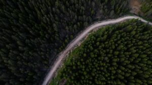 aerial view of serpentine forest road and dense trees