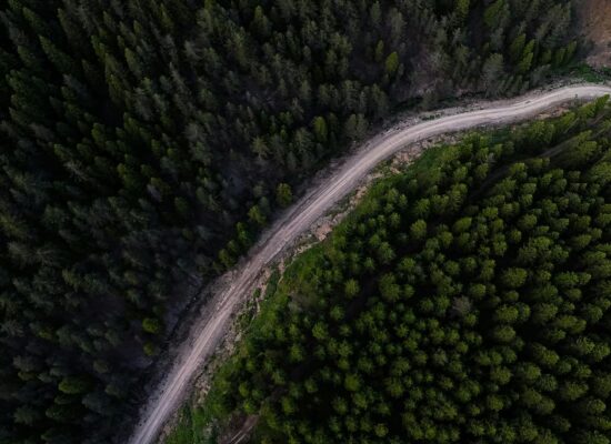 aerial view of serpentine forest road and dense trees