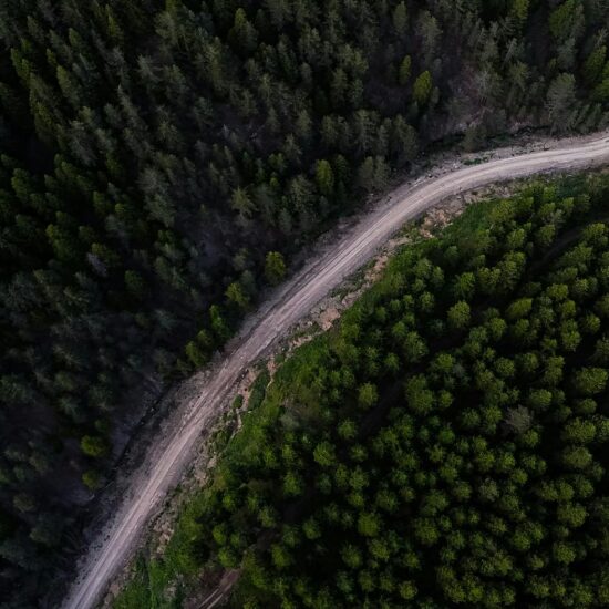 aerial view of serpentine forest road and dense trees