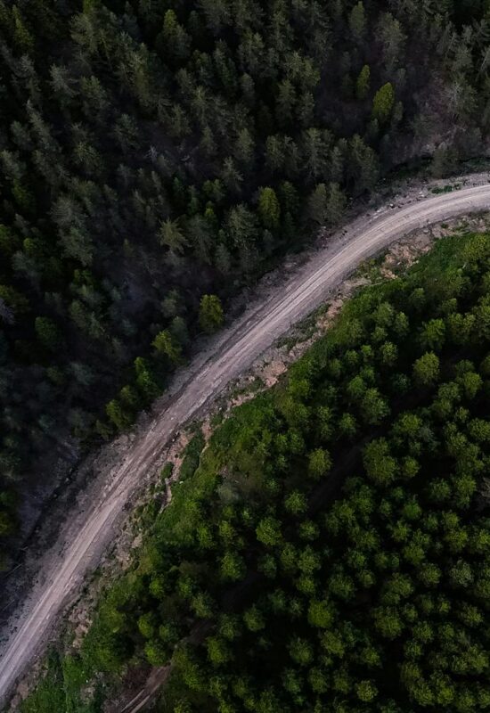 aerial view of serpentine forest road and dense trees
