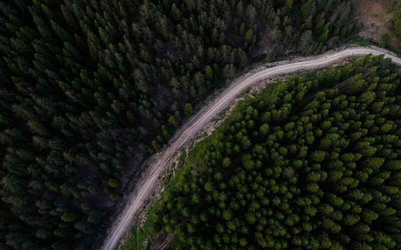aerial view of serpentine forest road and dense trees